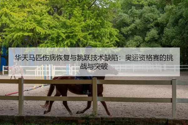 hua-tian-ma-pi-shang-bing-hui-fu-yu-tiao-yue-ji-shu-que-xian-ao-yun-zi-ge-sai-de-tiao-zhan-yu-tu-po-3-242.jpg